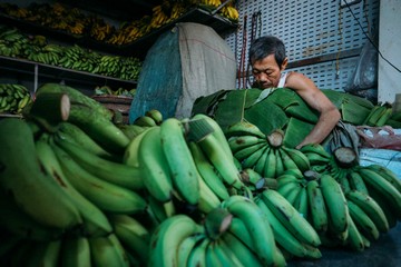 Experience Mekong Delta once in a life time 3 days