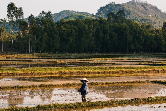 Cycling Tour in Hoi An & Danang 4 Days