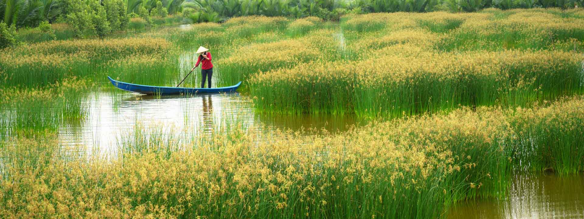 Mekong at a Glimpse on Cai Be Princess