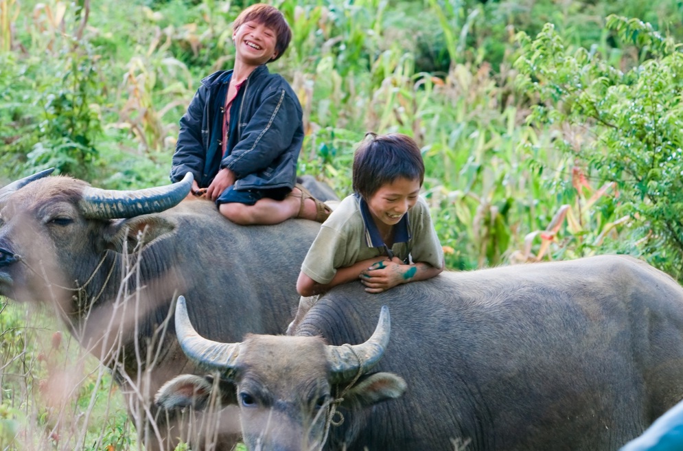 One month Holiday to Vietnam, Are you coming?