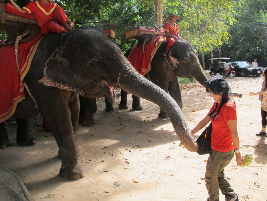 Best Travel tips on Cambodia tour packages