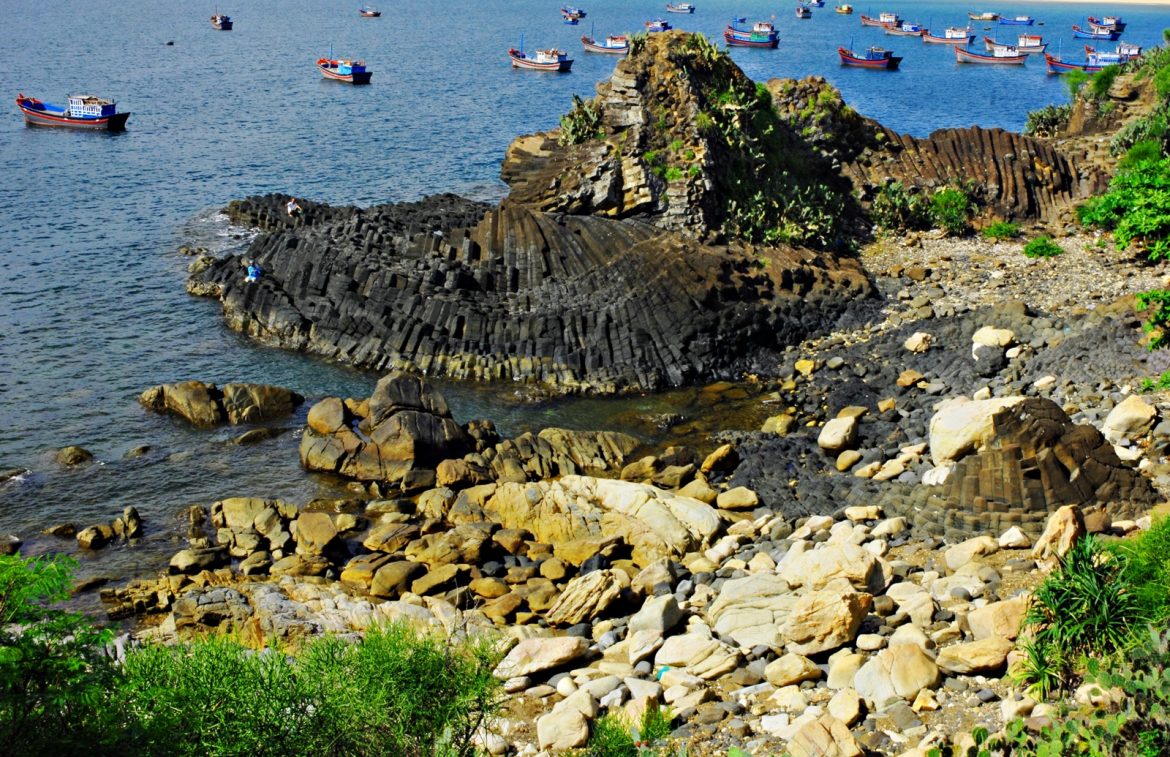 Tuy Hoa: Explore the land of Yellow flowers on Green Grass