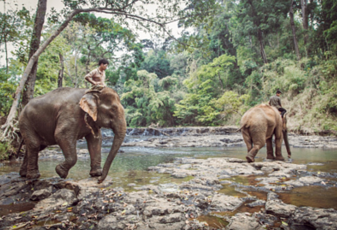 Cambodia Luxury Holiday to discover Phnom Penh city