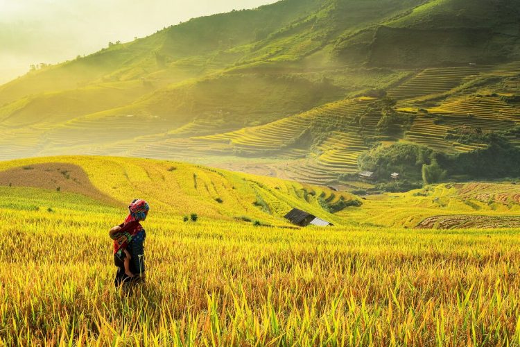 Is Vietnam Safe for Family with Kids ?