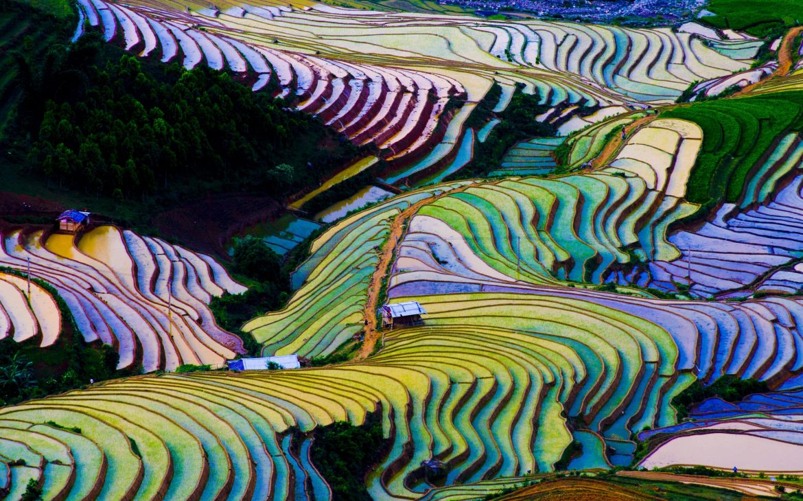 Top the 5 Most Breathtaking Terrace Fields in Southeast Asia