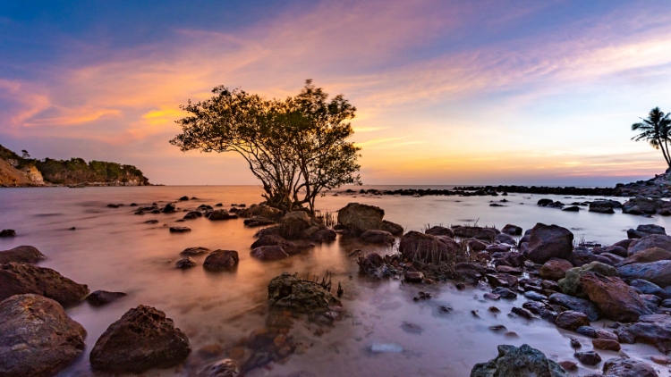 Top 5 Phu Quoc shopping places for not missing| Where to buy in Phu Quoc?