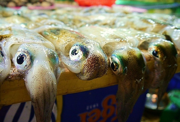 A Comprehensive Guide To Dinh Cau Night Market Phu Quoc