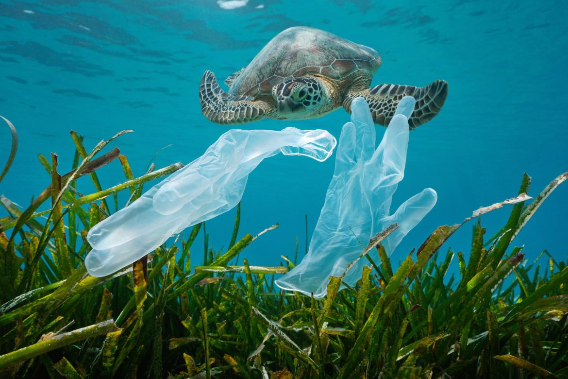 8 Wise Tips to Reduce Plastic Waste: Insights from Lux Travel DMC Team