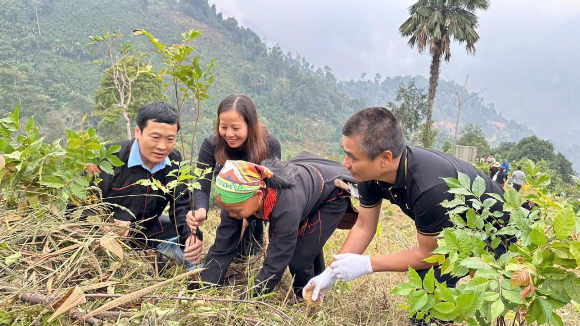 LuxGroup Foundation Plants 2,000 Trees to Restore Forests in Yen Bai